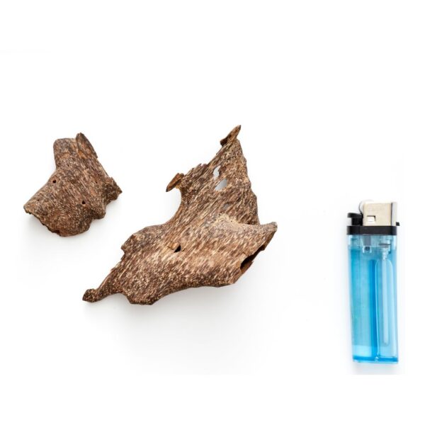 LOT 05 Trat 10g